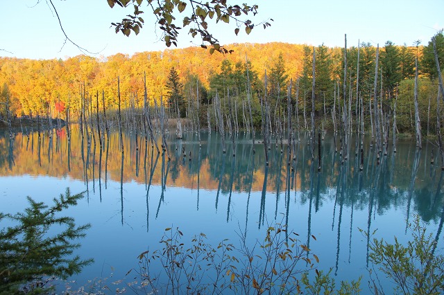 ファイル 149-2.jpg