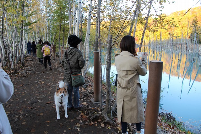 ファイル 149-3.jpg