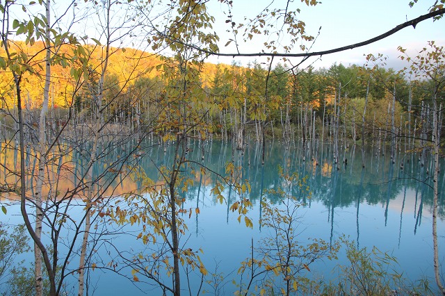 ファイル 149-4.jpg