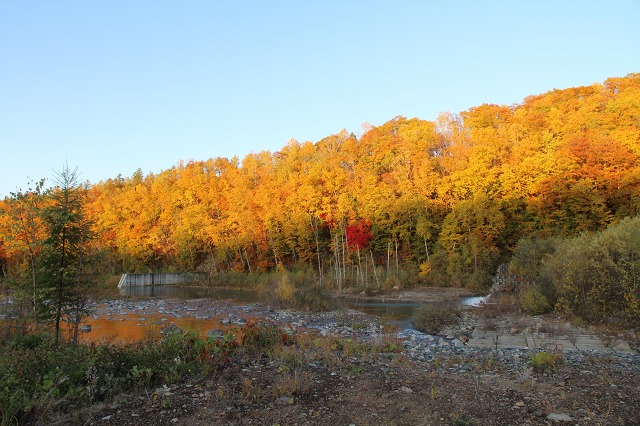 ファイル 149-7.jpg