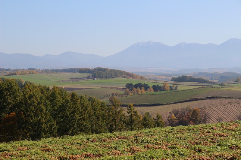 ファイル 151-4.jpg