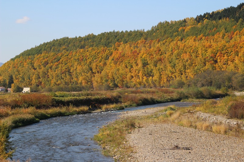 ファイル 152-3.jpg