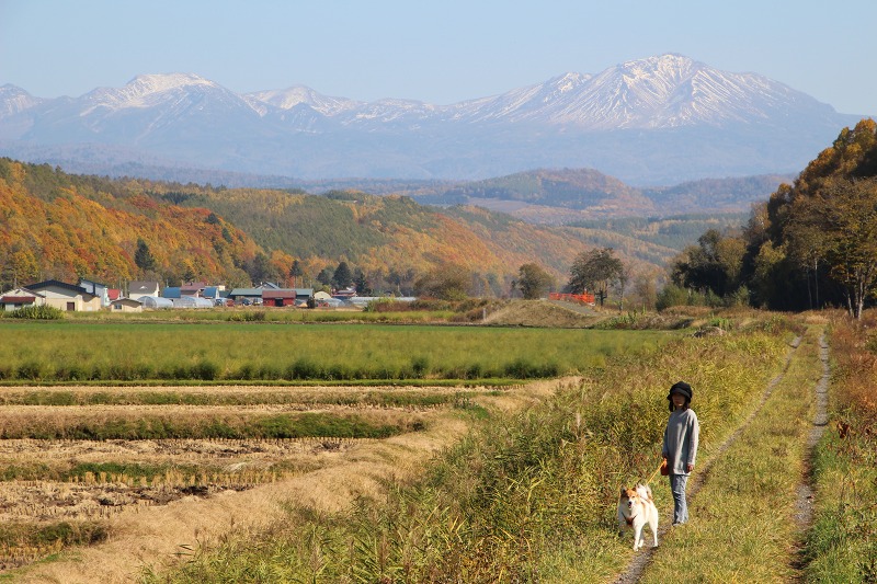 ファイル 152-4.jpg