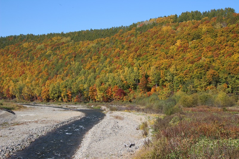 ファイル 152-5.jpg