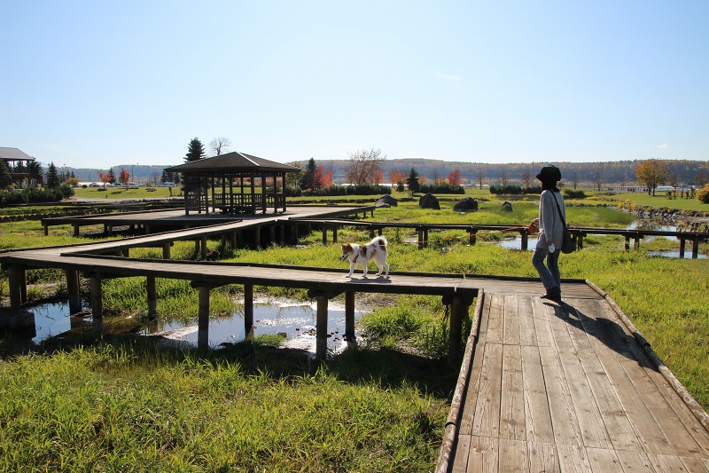 ファイル 152-7.jpg