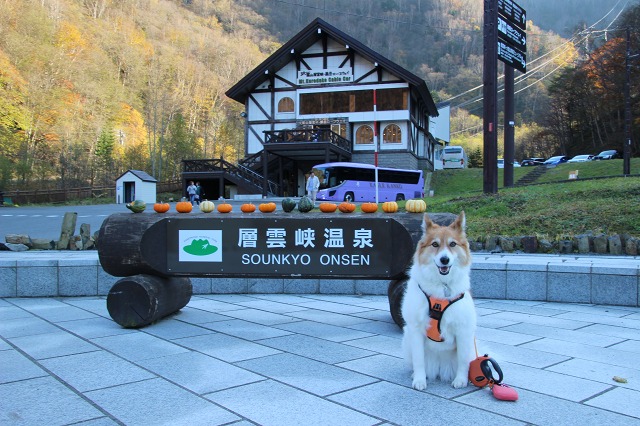 ファイル 153-3.jpg