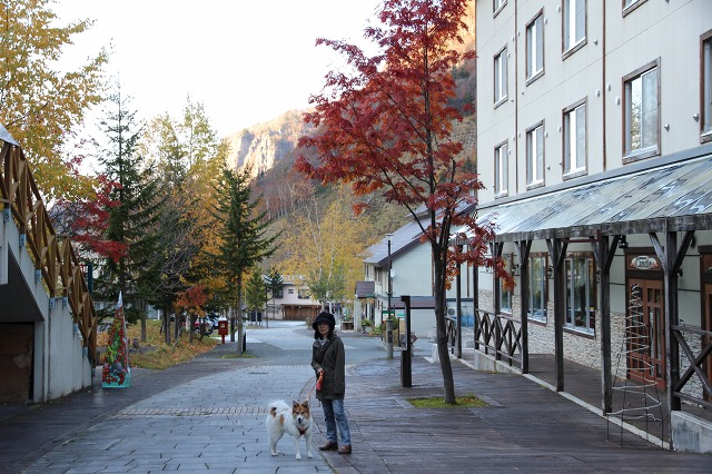 ファイル 153-5.jpg