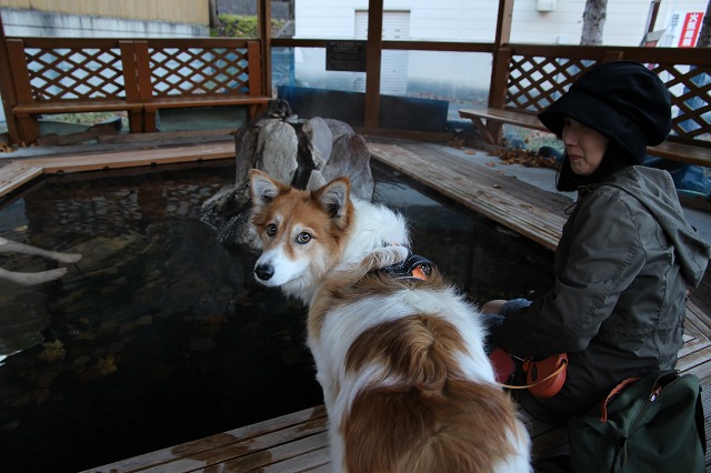 ファイル 153-7.jpg