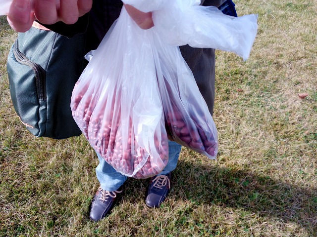 ファイル 154-3.jpg