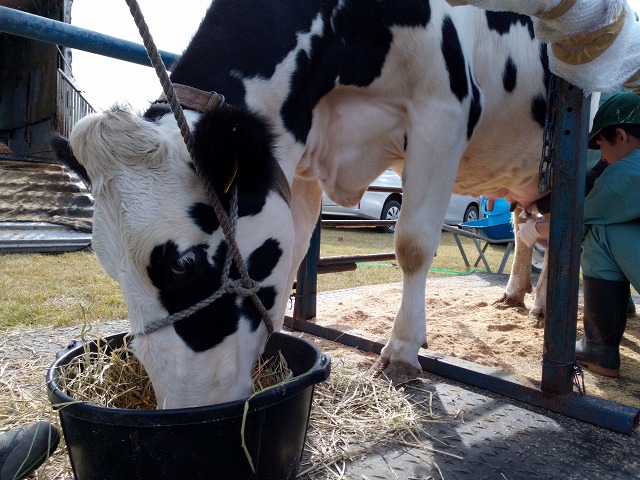 ファイル 154-6.jpg