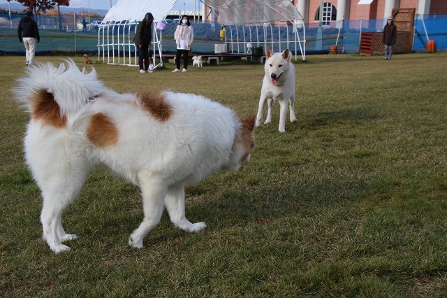 ファイル 156-4.jpg