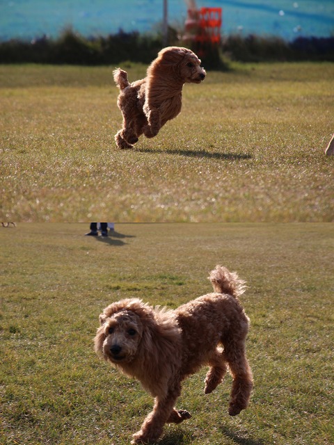 ファイル 156-5.jpg