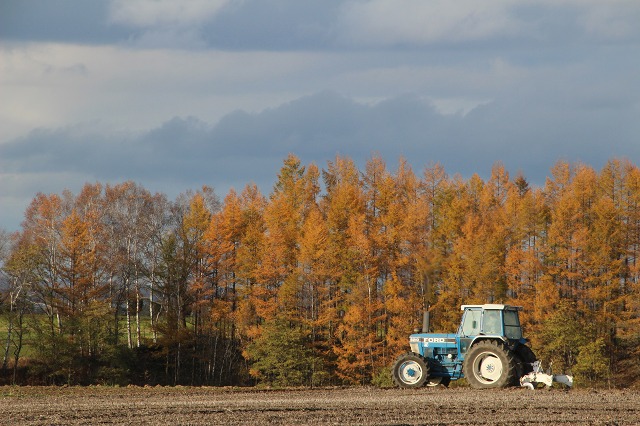 ファイル 156-8.jpg