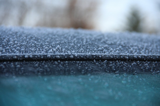 ファイル 157-1.jpg