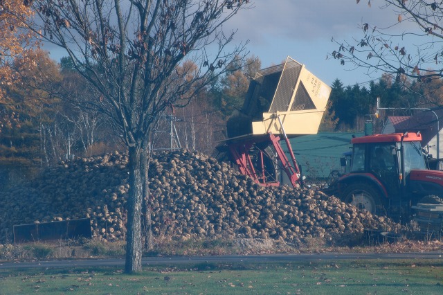 ファイル 157-3.jpg