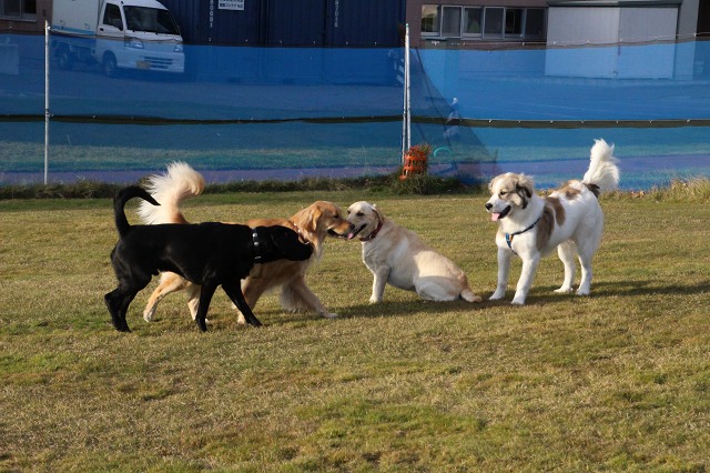 ファイル 157-6.jpg