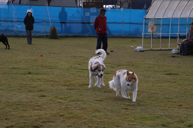 ファイル 157-7.jpg