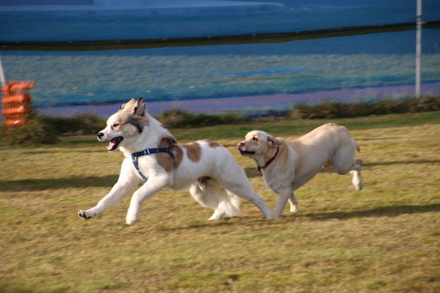 ファイル 157-8.jpg