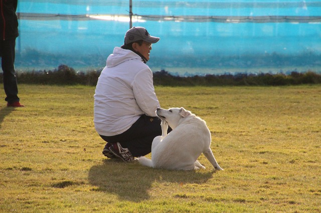 ファイル 157-9.jpg