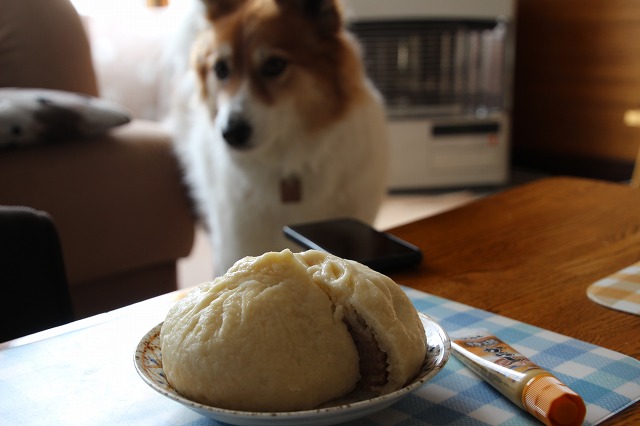 ファイル 161-8.jpg