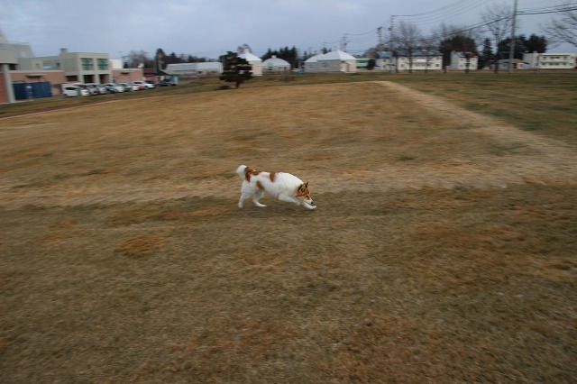 ファイル 163-1.jpg