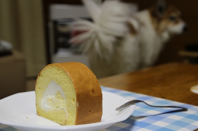 ファイル 163-4.jpg