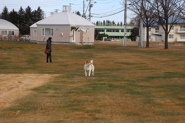 ファイル 164-6.jpg