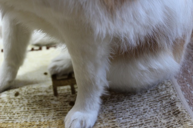 ファイル 165-3.jpg