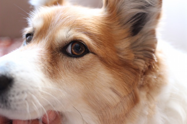 ファイル 165-6.jpg