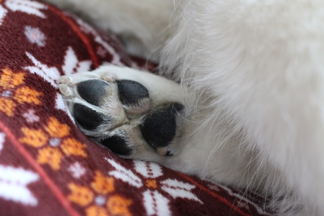 ファイル 165-7.jpg