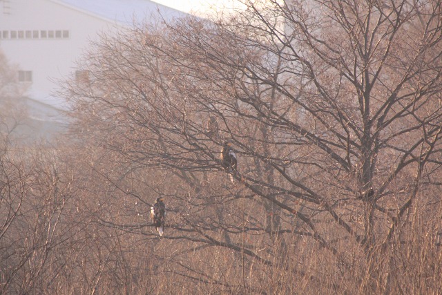 ファイル 166-6.jpg