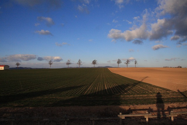 ファイル 167-1.jpg