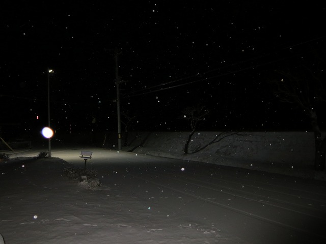 ファイル 167-3.jpg