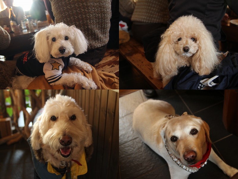 ファイル 168-4.jpg