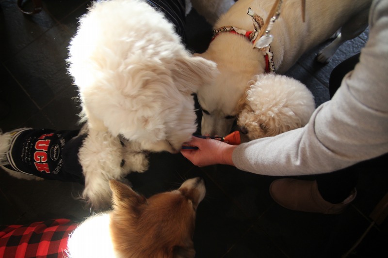 ファイル 168-6.jpg