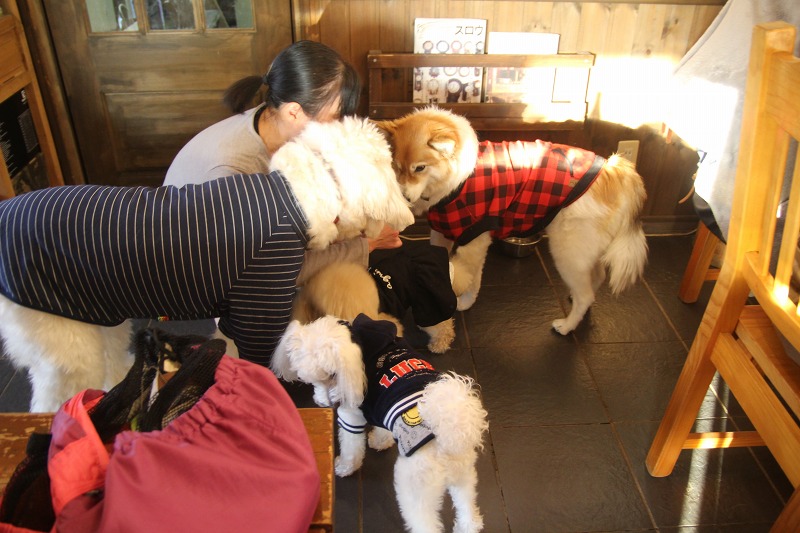 ファイル 168-7.jpg