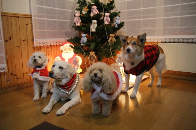 ファイル 169-7.jpg