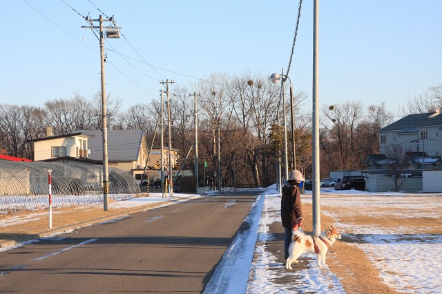 ファイル 170-2.jpg