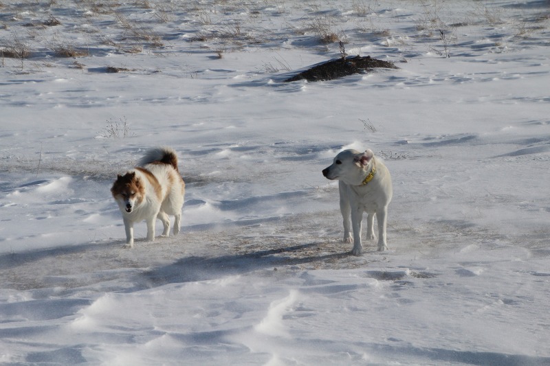 ファイル 22-4.jpg