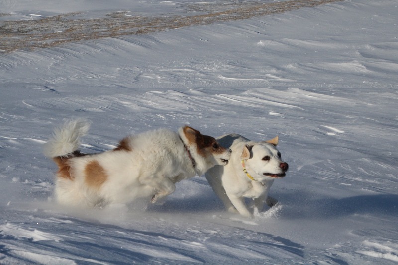 ファイル 22-8.jpg