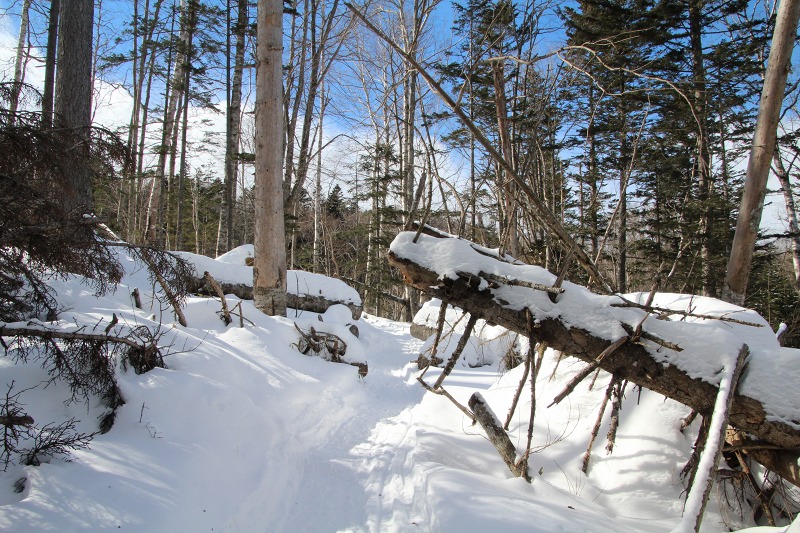 ファイル 30-1.jpg