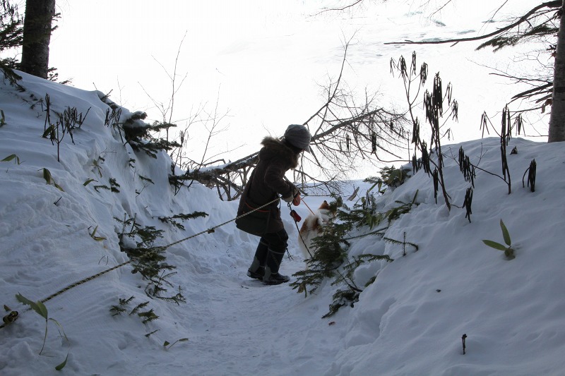 ファイル 30-2.jpg