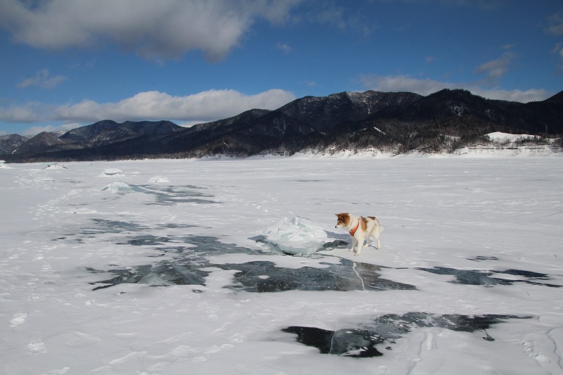 ファイル 30-6.jpg