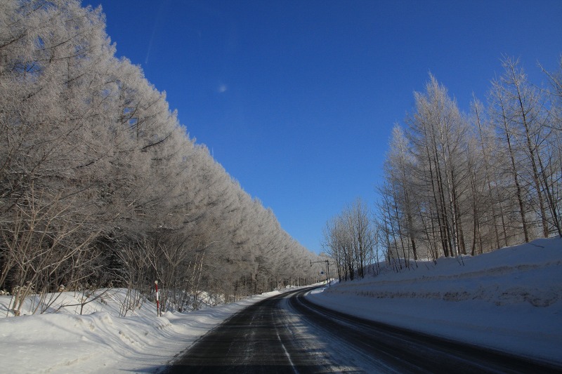 ファイル 31-2.jpg