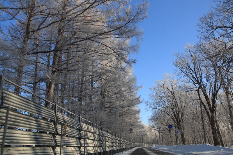 ファイル 31-3.jpg