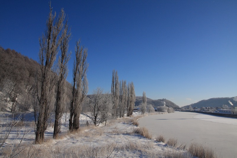 ファイル 31-6.jpg