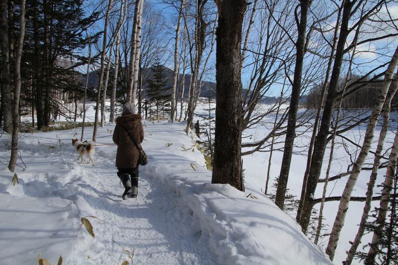 ファイル 32-1.jpg