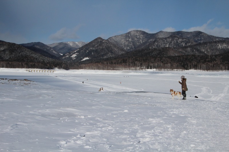 ファイル 32-3.jpg