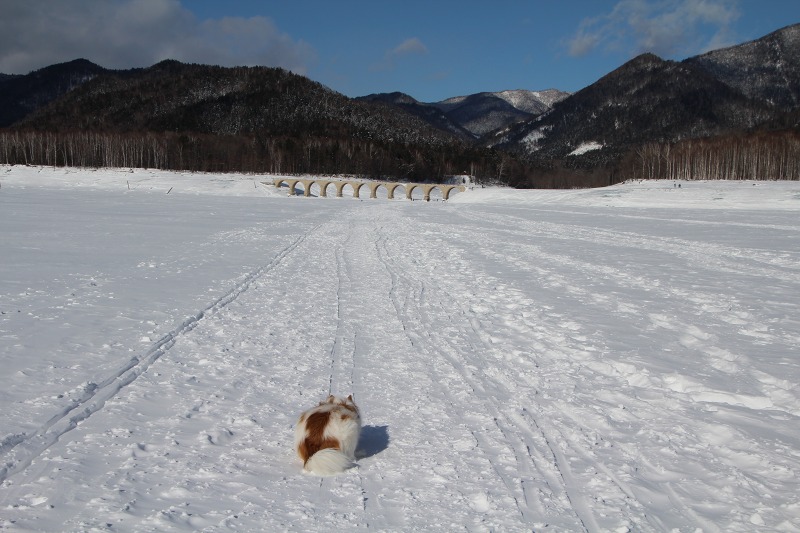 ファイル 32-7.jpg