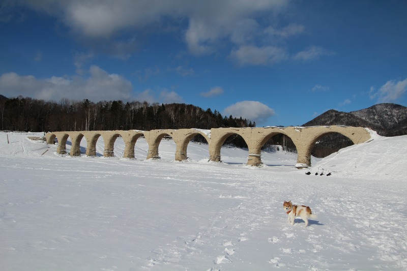 ファイル 33-1.jpg